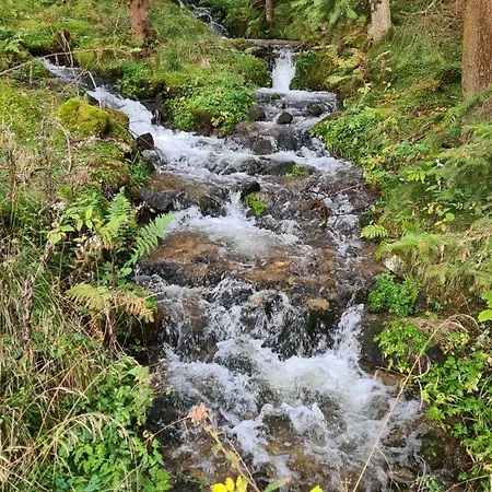 Steirermaxx شقة Gaal