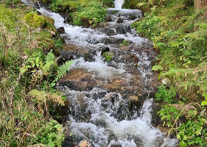 Steirermaxx Апартаменты Gaal